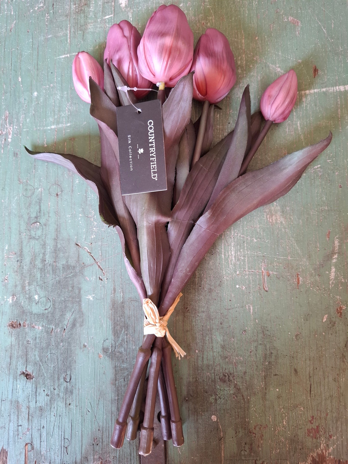 Kunst tulpen