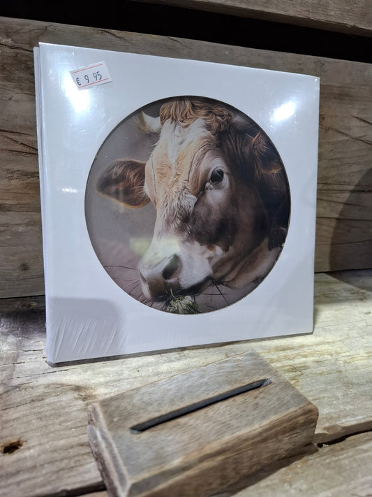 Glasplaat met print